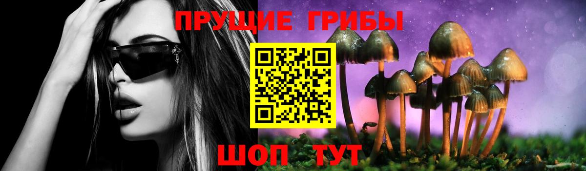 Псилоцибиновые грибы Magic Shrooms  что такое наркотик  Галлюциногенные грибы ЛСД  Нерюнгри  Вход с VPN 
